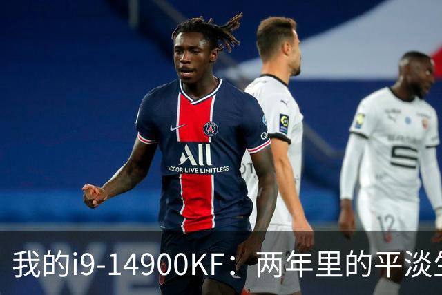 我的i9-14900KF：两年里的平淡生活与意外风波